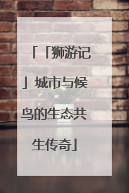 「狮游记」城市与候鸟的生态共生传奇