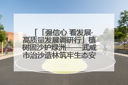 「强信心 看发展·高质量发展调研行」植树固沙护绿洲——武威市治沙造林筑牢生态安全屏障见闻