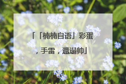 「楠楠自语」彩蛋，手雷，邋遢帅