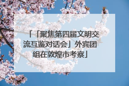 「聚焦第四届文明交流互鉴对话会」外宾团组在敦煌市考察