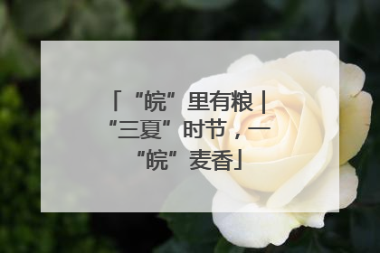 “皖”里有粮｜“三夏”时节，一“皖”麦香