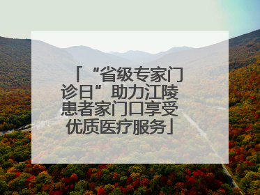“省级专家门诊日”助力江陵患者家门口享受优质医疗服务