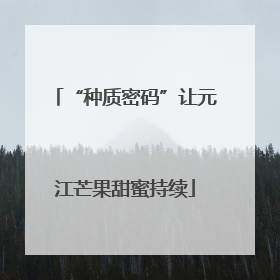 “种质密码”让元江芒果甜蜜持续