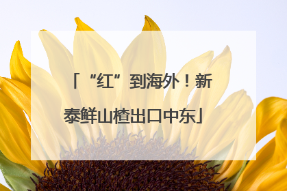 “红”到海外！新泰鲜山楂出口中东
