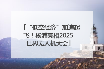 “低空经济”加速起飞！杨浦亮相2025世界无人机大会