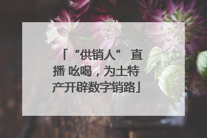 “供销人” 直播 吆喝，为土特产开辟数字销路