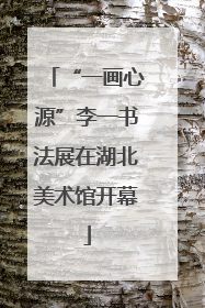 “一画心源”李一书法展在湖北美术馆开幕