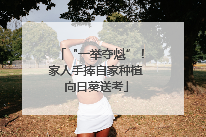 “一举夺魁”！家人手捧自家种植向日葵送考