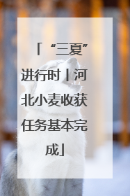 “三夏”进行时丨河北小麦收获任务基本完成