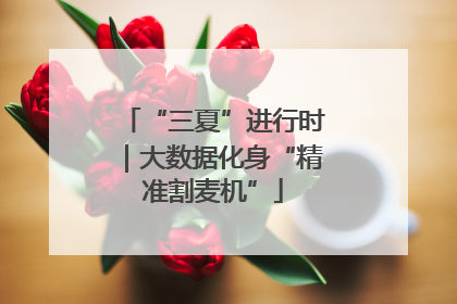 “三夏”进行时｜大数据化身“精准割麦机”
