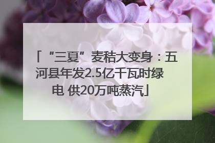 “三夏”麦秸大变身：五河县年发2.5亿千瓦时绿电 供20万吨蒸汽