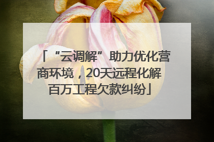 “云调解”助力优化营商环境，20天远程化解百万工程欠款纠纷