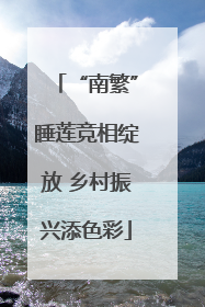 “南繁”睡莲竞相绽放 乡村振兴添色彩