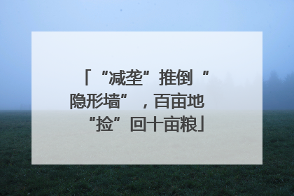 “减垄”推倒“隐形墙”，百亩地“捡”回十亩粮