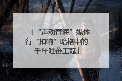 “声动青海”媒体行“扣响”暗格中的千年吐蕃王冠