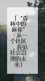 “森林中的麻雀”：从一个社区，看见社会治理的未来