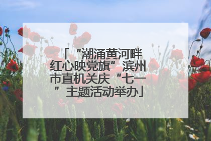 “潮涌黄河畔 红心映党旗”滨州市直机关庆“七一”主题活动举办