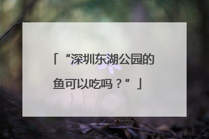 “深圳东湖公园的鱼可以吃吗？”