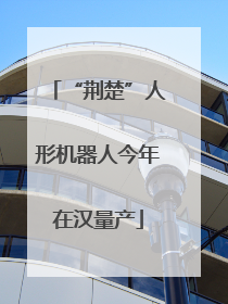 “荆楚”人形机器人今年在汉量产