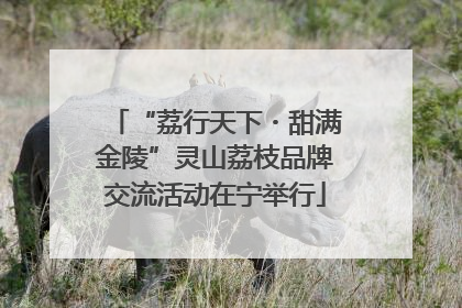 “荔行天下・甜满金陵”灵山荔枝品牌交流活动在宁举行