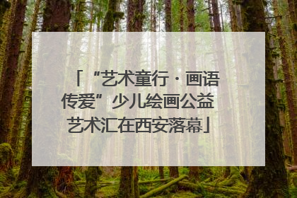 “艺术童行・画语传爱”少儿绘画公益艺术汇在西安落幕
