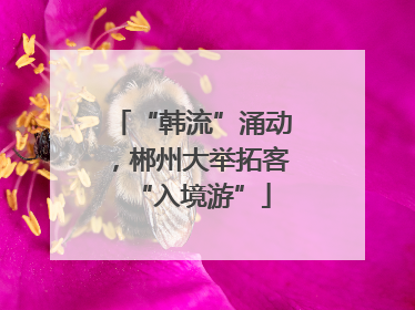 “韩流”涌动，郴州大举拓客“入境游”