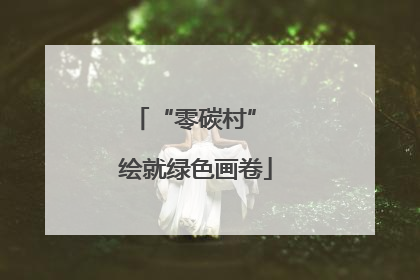 “零碳村” 绘就绿色画卷