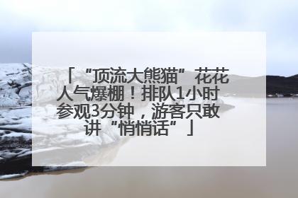 “顶流大熊猫”花花人气爆棚！排队1小时参观3分钟，游客只敢讲“悄悄话”