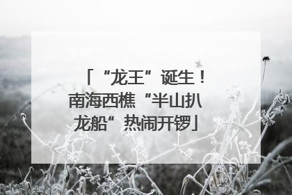 “龙王”诞生！南海西樵“半山扒龙船”热闹开锣