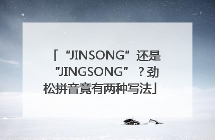 “JINSONG”还是“JINGSONG”？劲松拼音竟有两种写法