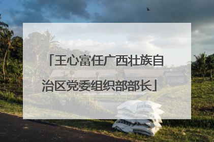 王心富任广西壮族自治区党委组织部部长