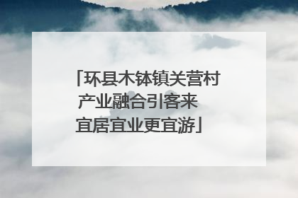 环县木钵镇关营村 产业融合引客来 宜居宜业更宜游
