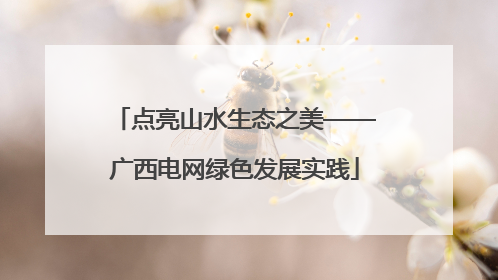 点亮山水生态之美——广西电网绿色发展实践