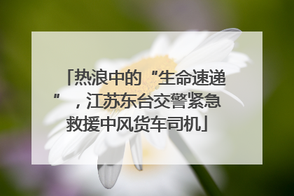 热浪中的“生命速递”，江苏东台交警紧急救援中风货车司机