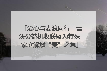 爱心与麦浪同行｜雷沃公益机收联盟为特殊家庭解燃“麦”之急