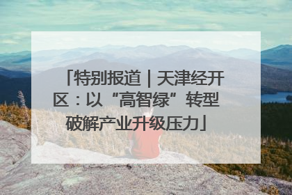 特别报道｜天津经开区：以“高智绿”转型破解产业升级压力