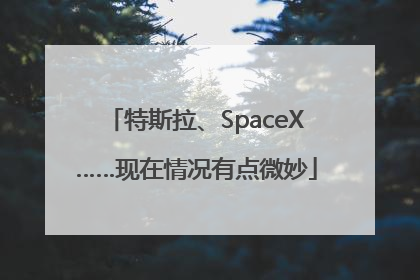 特斯拉、SpaceX……现在情况有点微妙