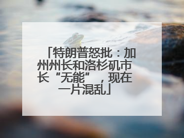 特朗普怒批：加州州长和洛杉矶市长“无能”，现在一片混乱