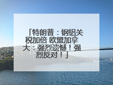 特朗普：钢铝关税加倍 欧盟加拿大：强烈遗憾！强烈反对！