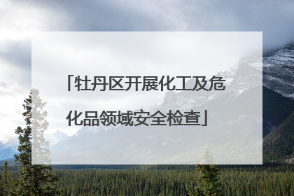 牡丹区开展化工及危化品领域安全检查