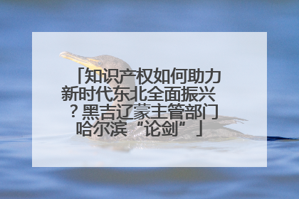 知识产权如何助力新时代东北全面振兴？黑吉辽蒙主管部门哈尔滨“论剑”