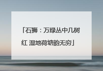 石狮：万绿丛中几树红 湿地荷塘韵无穷