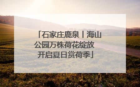 石家庄鹿泉丨海山公园万株荷花绽放 开启夏日赏荷季