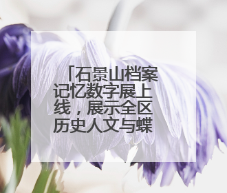 石景山档案记忆数字展上线，展示全区历史人文与蝶变复兴历程