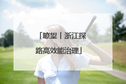 瞭望丨浙江探路高效能治理