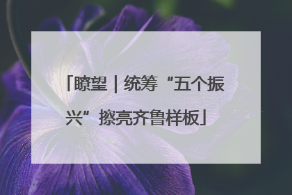 瞭望｜统筹“五个振兴”擦亮齐鲁样板