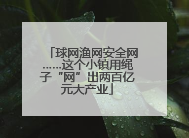 球网渔网安全网……这个小镇用绳子“网”出两百亿元大产业