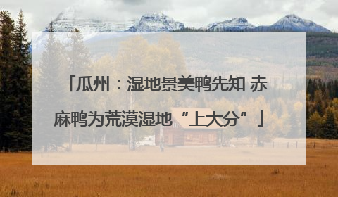 瓜州：湿地景美鸭先知 赤麻鸭为荒漠湿地“上大分”