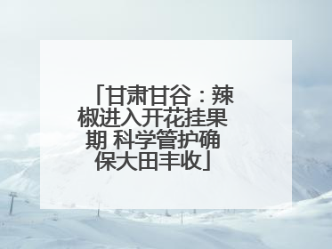 甘肃甘谷：辣椒进入开花挂果期 科学管护确保大田丰收
