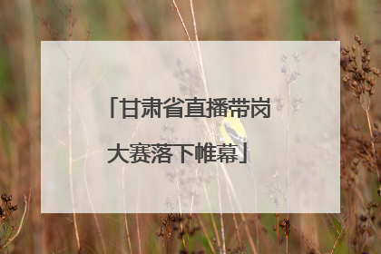 甘肃省直播带岗大赛落下帷幕